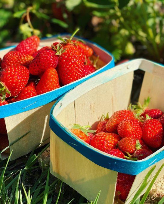 Confiture de Fraise